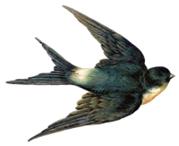 1649467511783211.png 0005.png