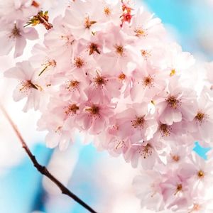 1653096073591509.jpg 0004.jpg