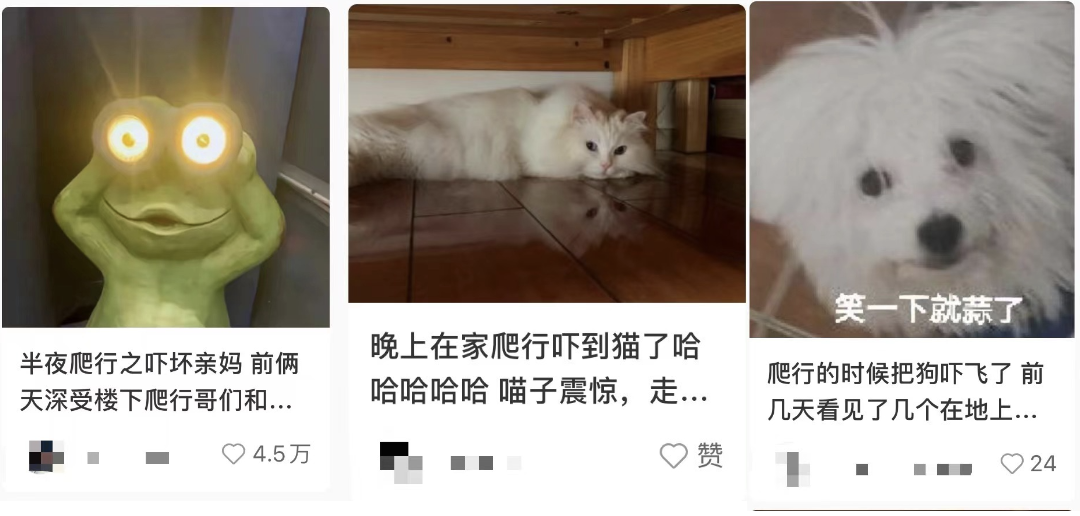 1668579588107132.png 0010.png